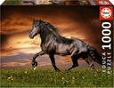 PUZ.1000 CABALLO AL TROTE