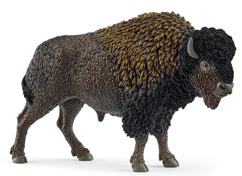BISONTE