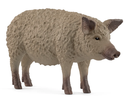 CERDO LANUDO
