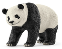 PANDA GIGANTE
