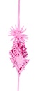 PALMA COLOR 4