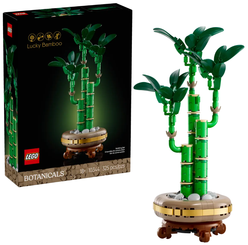 BAMBU DE LA SUERTE