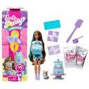 BARBIE PARTY REVEAL AZUL