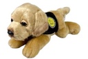 PELUCHE LABRADOR CANELA 21