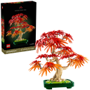 BONSAI ARCE ROJO JAPONES