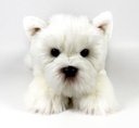 PELUCHE TERRIER BLANCO 25 CM.
