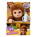 L.L.P. MY BABY MONKEY