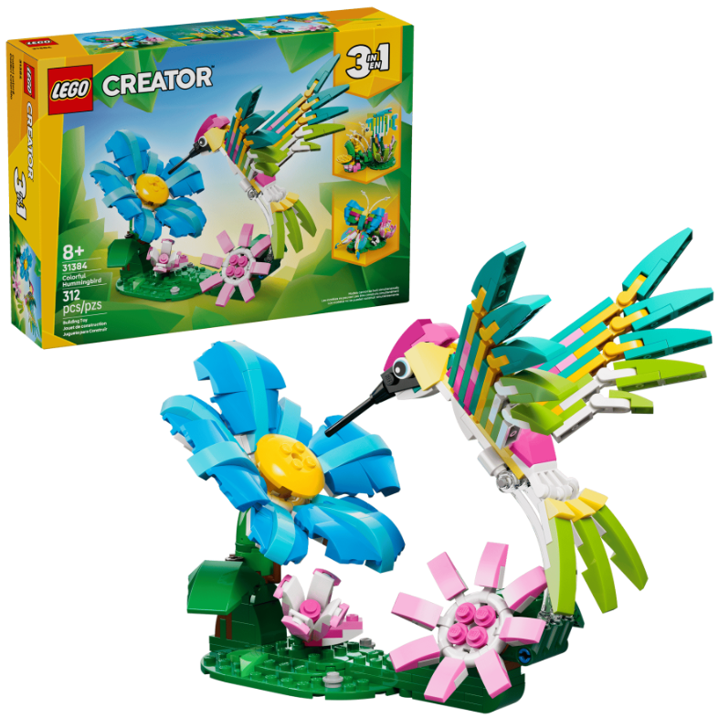 COLIBRI DE COLORES