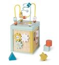 CUBO ACTIVIDADES SARO
