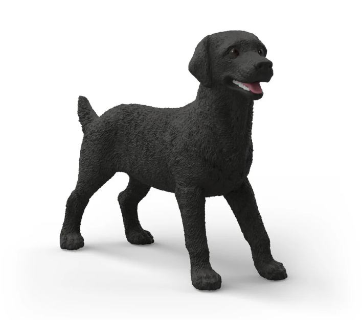 LABRADOR RETRIEVER HEMBRA NEGRA