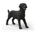 LABRADOR RETRIEVER HEMBRA NEGRA