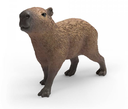 CAPIBARA