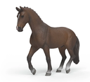CABALLO HOLANDES KWPN
