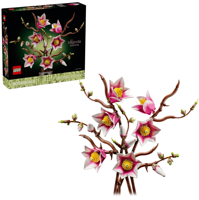 RAMAS DE MAGNOLIA