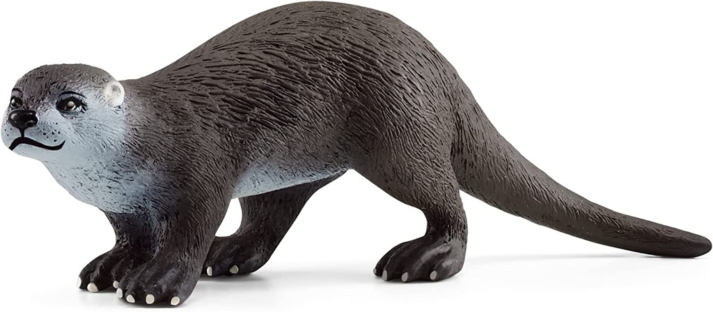 NUTRIA