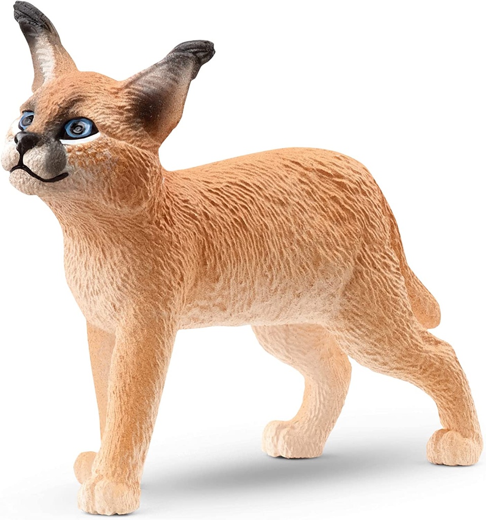 CRIA DE CARACAL