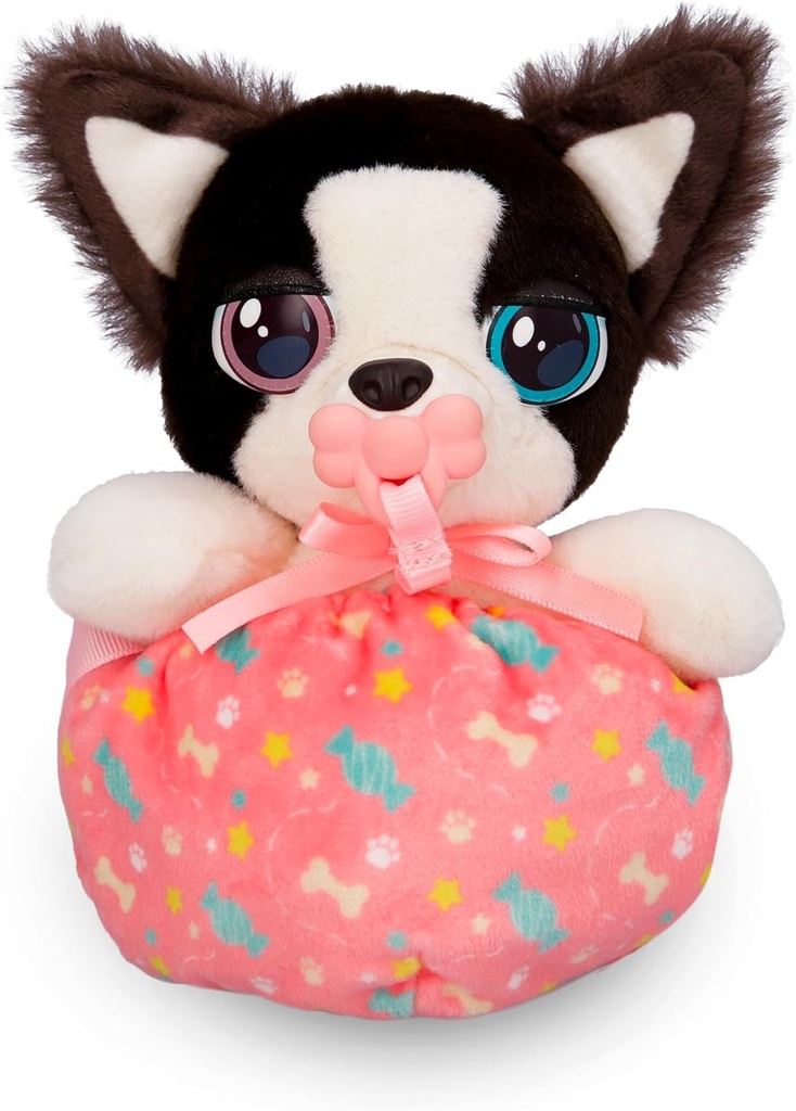 BABY PAWS MINI BORDER COLLIE