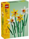 NARCISOS