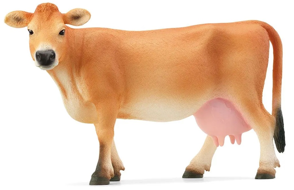 VACA JERSEY