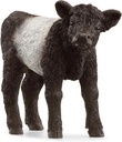 TERNERO GALLOWAY