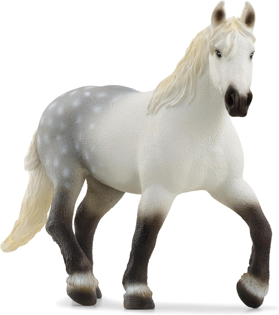 YEGUA PERCHERON