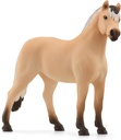 CABALLO FIORDO