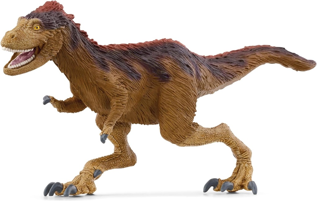 MOROS INTREPIDUS