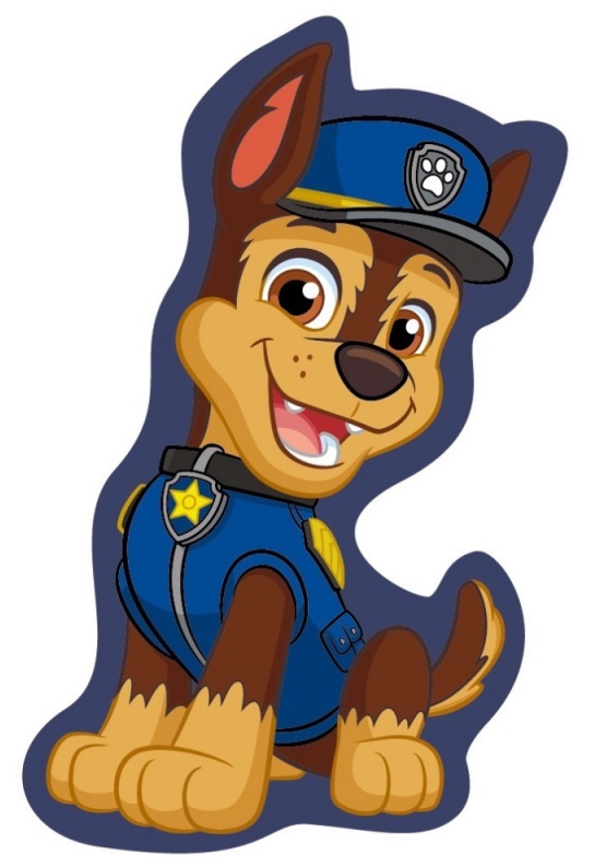 COJIN PAW PATROL 3D 35 CM.