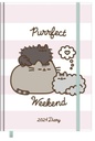 AGENDA ANUAL 2024 PUSHEEN