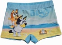 BOXER BAÑO BLUEY