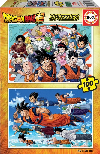 [04018214] PUZ.2x100 DRAGON BALL