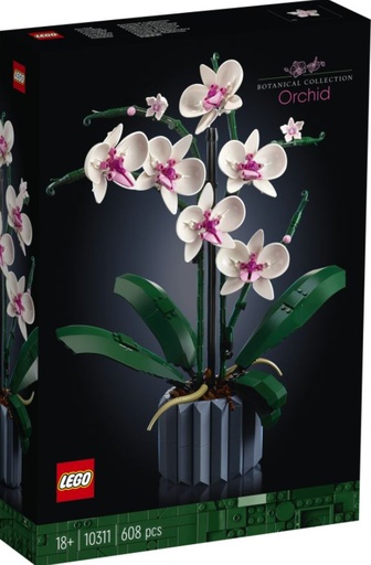 [22510311] ORQUIDEAS