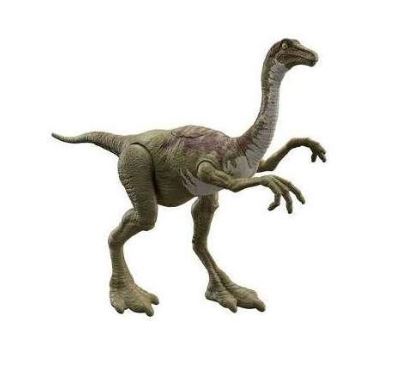 [24503864] J.W. LEGACY GALLIMI