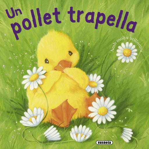 [53571581] UN POLLET TRAPELLA