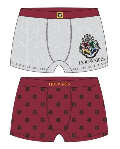 [61039880] CALZONCILLOS HARRY POTTER T.6
