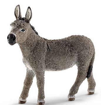 [66913772] BURRO
