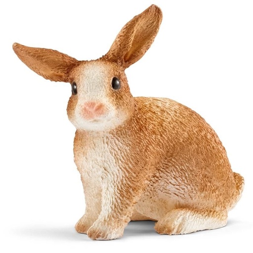 [66913827] CONEJO