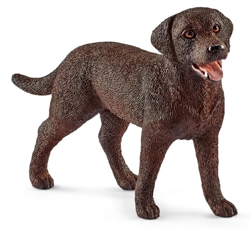 [66913834] LABRADOR RETRIEVER HEMBRA