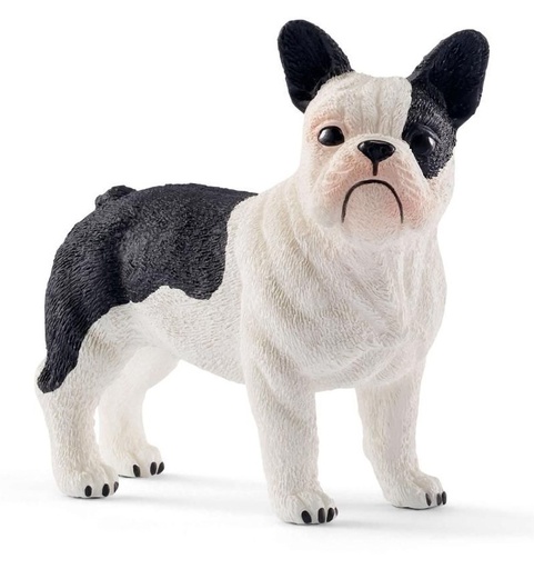 [66913877] BULLDOG FRANCES