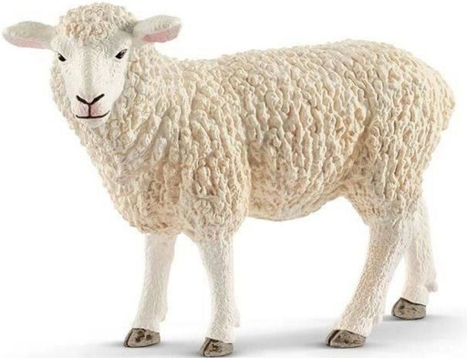 [66913882] OVEJA