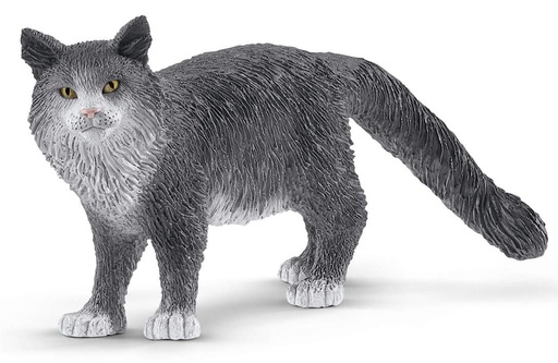[66913893] GATO MAINE COON