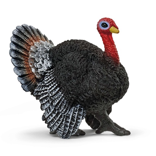 [66913900] PAVO - Farm
