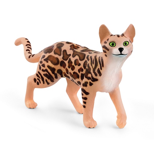 [66913918] GATO DE BENGALA