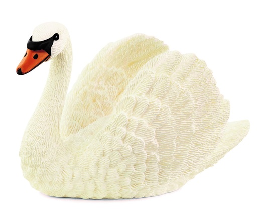 [66913921] CISNE