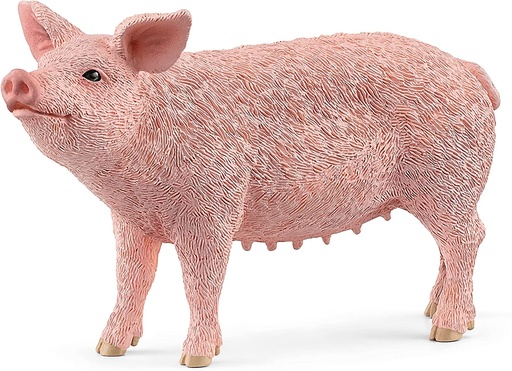[66913933] CERDO