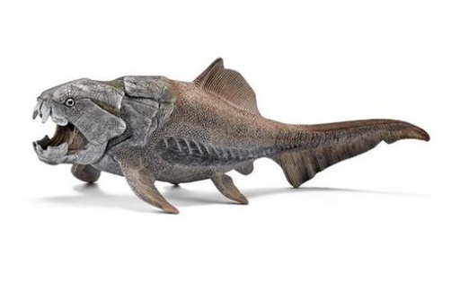 [66914575] DUNKLEOSTEUS