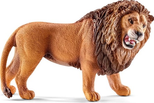 [66914726] LEON RUGIENDO