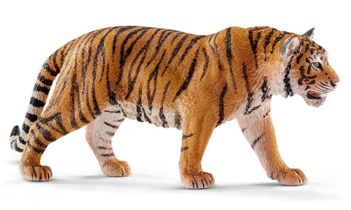 [66914729] TIGRE