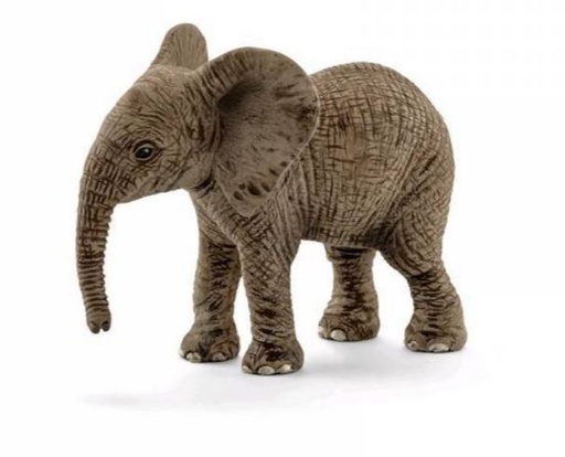 [66914763] CRIA ELEFANTE AFRICANO