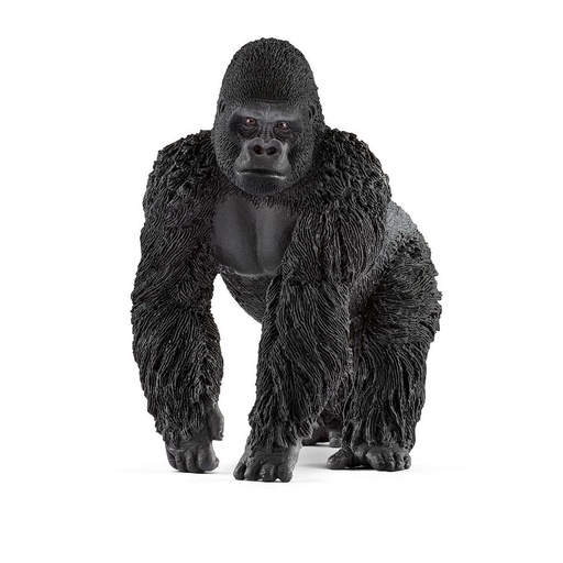 [66914770] GORILA MACHO